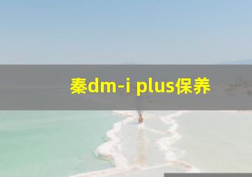 秦dm-i plus保养